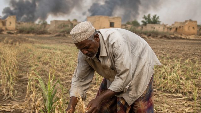How Global Conflicts Are Impac