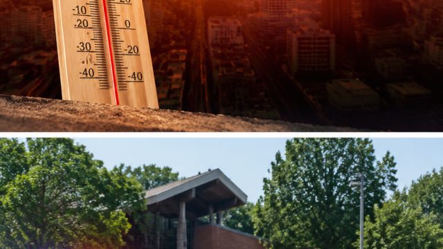 Global Heat Wave and the Chico