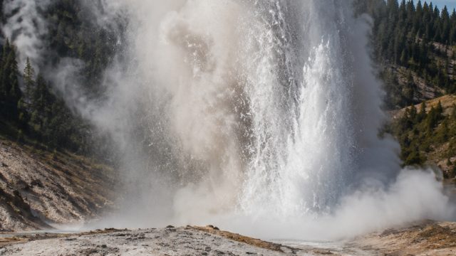Yellowstone National Park Sees